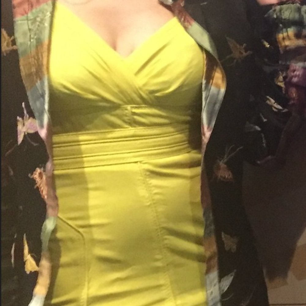 Zac Posen size 2 Canary Yellow silk dress - lightly worn